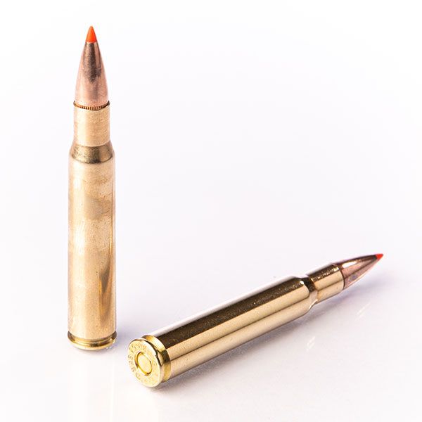 Munition Fiocchi EPN 11.7g/180gr .30-06 (EPN - Expansion polymer nose)